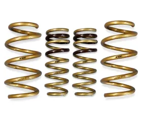 ARK GT-S Lowering Springs Hyundai Veloster ALL 2012-2013