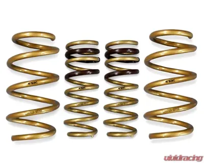 ARK GT-S Lowering Springs Hyundai Veloster ALL 2012-2013 - LS0703-0112