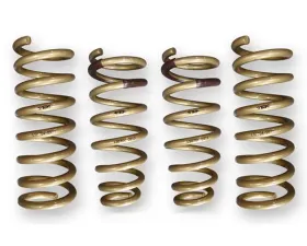 ARK GT-S Lowering Springs Hyundai Genesis Sedan 2009-2013