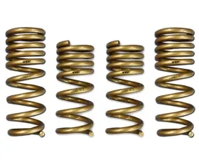 ARK GT-S Lowering Springs Nissan 350Z 2003-2008
