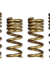 ARK GT-S Lowering Springs Nissan 370Z 2009-2014                                     - LS0901-0209 - Image 5