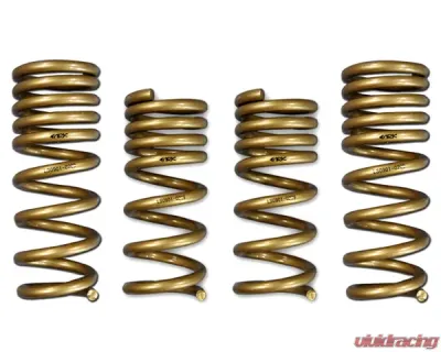 ARK GT-S Lowering Springs Nissan 370Z 2009-2014 - LS0901-0209