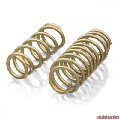 ARK Performance GT-S Lowering Springs Infinit Q60 RWD 2016+ - LS1160-0116