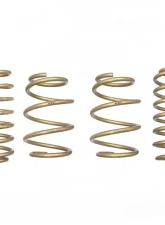 ARK Performance GT-S Lowering Springs Toyota C-HR 2018+                                     - LS1400-0017 - Image 3