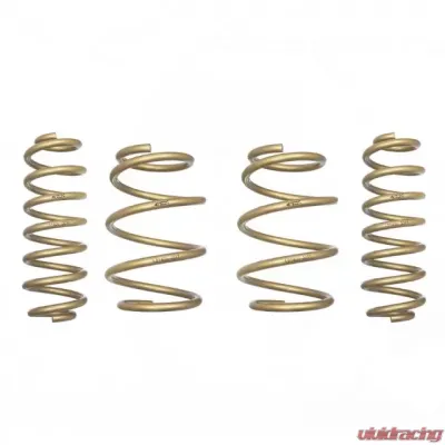 ARK Performance GT-S Lowering Springs Toyota C-HR 2018+ - LS1400-0017