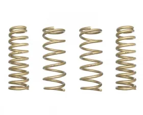 ARK Performance GT-S Lowering Springs Lexus GS 350 2014+