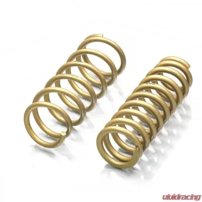 ARK Performance GT-S Lowering Springs Lexus GS 350 2014+ - LS1504-0113