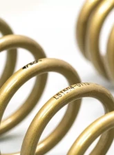 ARK Performance GT-S Lowering Springs Lexus GS 350 2014+                                     - LS1504-0113 - Image 4