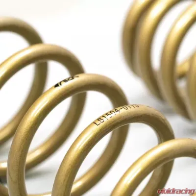 ARK Performance GT-S Lowering Springs Lexus GS 350 2014+ - LS1504-0113
