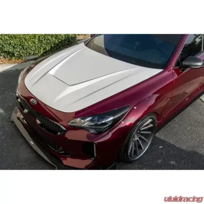 ARK Performance Legato Fiberglass Hood Kia Stinger 2018+ - SFLH-0811F