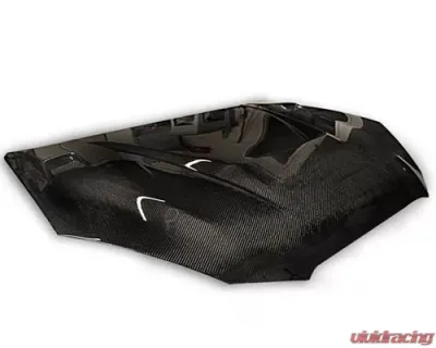ARK S-FX Hood Carbon Fiber Hyundai Genesis Coupe 2010-2012 - SFXH-0700