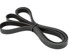 Paxton NOVI 2000 7-Rib Supercharger Drive Belt Dodge Ram SRT-10 Truck 04-06