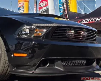 Advan Carbon OEM Style Carbon Fiber Hood w/o Scoop Ford Mustang 2010-2012 - BKFM10-AC959HC