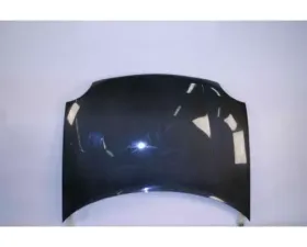 Advan Carbon OEM Style Carbon Fiber Hood Dogde Neon 1995-1999