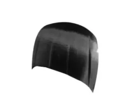 Advan Carbon EVO Design Carbon Fiber Hood Ford Escort ZX2 2000-2002