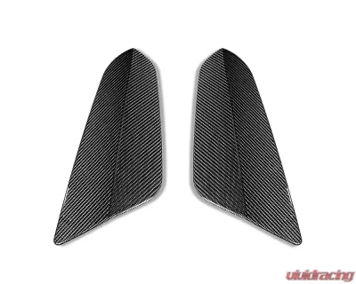 TechArt Rear Spoiler Winglet Matt Carbon Fiber for Porsche 991 GT3 RS 2014-2016 - 091.121.890.009