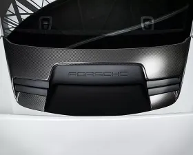 TECHART Matte Carbon Fiber Tailgate Panel Porsche 991 GTS RS