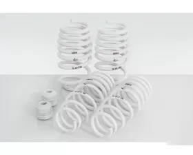 TechArt Lowering Springs for Porsche 991.2 Carrera, Carrera S, Carrera 4, 2017-2019