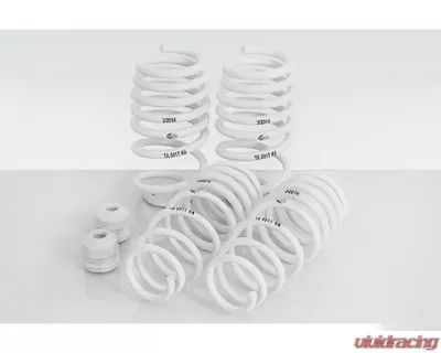 TechArt Lowering Springs for Porsche 991.2 Carrera, Carrera S, Carrera 4, 2017-2019 - 091.200.180.009