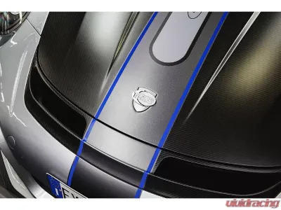 TechArt Aero Hood Partially Coated Matt Carbon Fiber for Porsche 991.2 GT3 RS 2018-2019 - 091.121.198.009T