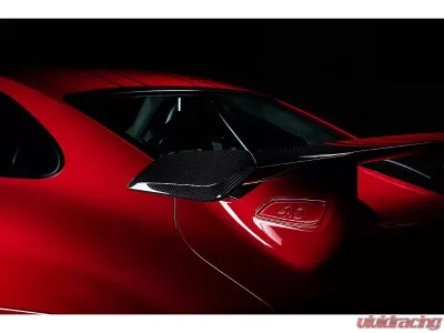 TechArt Rear Spoiler Winglet Glossy Carbon Fiber for Porsche 991.2 GT3 2017-2019 - 091.121.871.009G