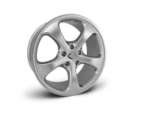Techart Formula 20x11 J OT 68 5-spoke Monoblock Light Alloy Wheel Shiny Silver Porsche 991 | 991.2