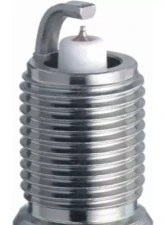 NGK GP Platinum Spark Plug Box of 4 (TR55GP)                                     - 3403 - Image 2