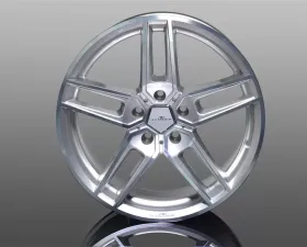 AC Schnitzer Type VIII BiColor Silver Wheel 20x10 BMW F34 | E9x 3-Series