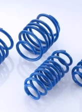 Spoon Progressive Springs Honda Civic Type-R FK8 2017-2021                                     - 51400-FK8-001 - Image 8